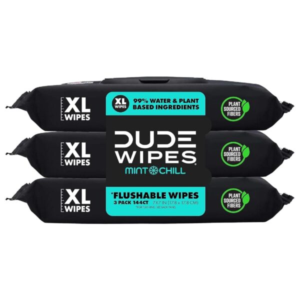 DUDE Wipes – Flushable Wipes – 3 Pack, 144 Wipes – Mint Chill Extra-Large Adult Wet Wipes – Vitamin-E, Aloe, Eucalyptus & Tea Tree Oils – Septic and Sewer Safe